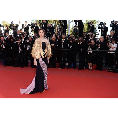 Cannes 2013: Red Carpet Looks