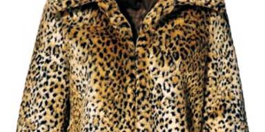 Die besten Winterbegleiter