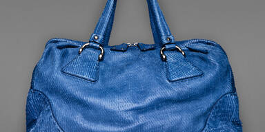 Die neuen Frühlingsbegleiter