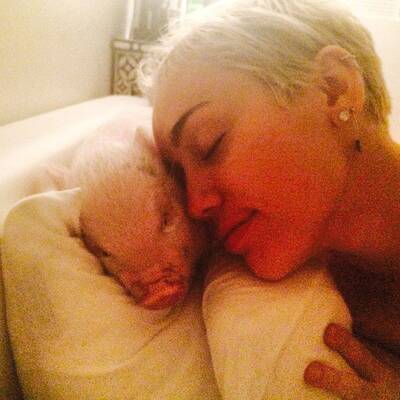 Rette sich, wer kann!