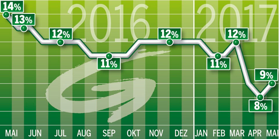 Zwei Frauen sollen Grüne retten