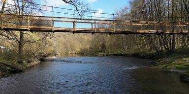 Silvester in NÖ: So vielfältig sind die Möglichkeiten