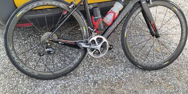 Radfahrer rammt ziege