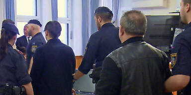 Fensterbohrer-Bande brach in Vorstadtvillen ein