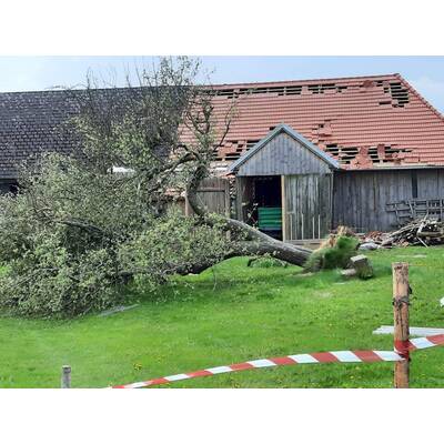 Tornado verwüstet Oberfladnitz im Waldviertel