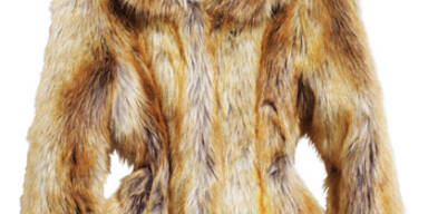 Die besten Winterbegleiter