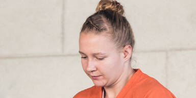 F&uuml;nf Jahre Haft wegen NSA-Leaks