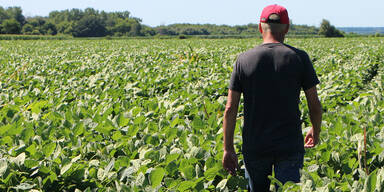 Trumps Handelskriege werden zum Eigentor