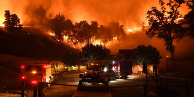 Feuer-Tornados Vorboten f&uuml;r Klima-H&ouml;lle