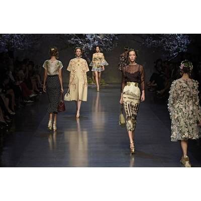 Dolce & Gabbana F/S 2014
