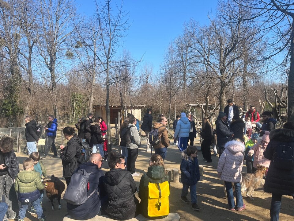 Im Streichelzoo im Tiergarten.