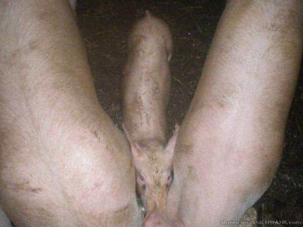 Diese Fotos sind nicht so versaut wie sie scheinen