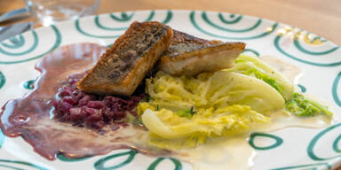 Zanderschnitte auf Rahmwirsing mit roter Butter