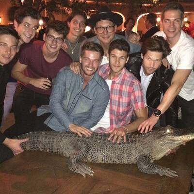 Rette sich, wer kann!