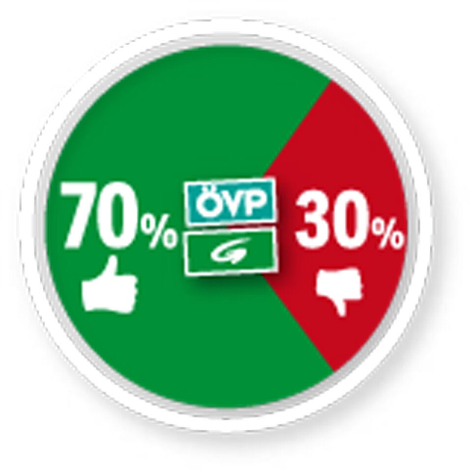 Der große Türkis-Grün-Check