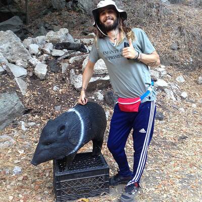 Rette sich, wer kann!