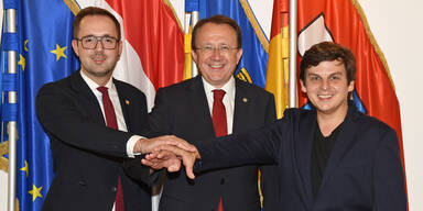 Neuer Vizeb&uuml;rgermeister und Gemeinderat in St. P&ouml;lten