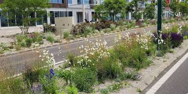 Wiener Neudorf staubt beim VC&Ouml;-Mobilit&auml;tspreis ab