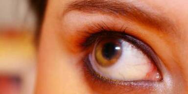 K&ouml;rpersignale unter der Lupe