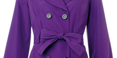 Die besten Winterbegleiter