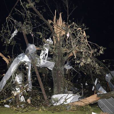 Spur der Verwüstung