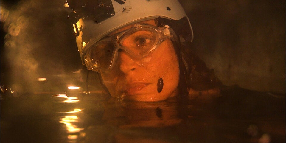 Dschungelcamp: Jolina erzählt von ihrer Geschlechtsumwandlung