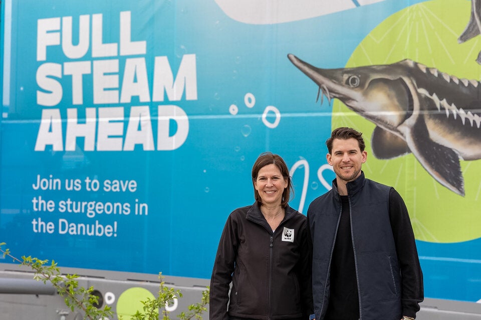 Andrea Johanides und Dominic Thiem