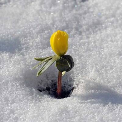 Der Winter schlägt zurück