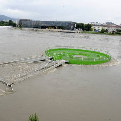 Linzer Auge schwimmt davon