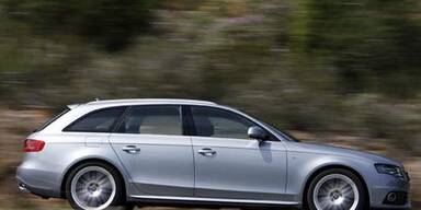 Das Alpha-Tier unter den Mittelklasse-Kombis