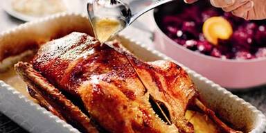 Achtung! Gansl im Anflug