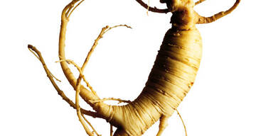 Jünger, schöner & gesünder mit Kräutern