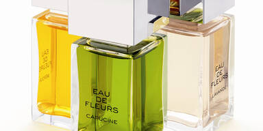 Top 10 für den gestressten Büroalltag