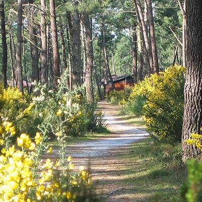 Résidence Hotelière Natureva-Spa in Le Cap d’Agde / Frankreich