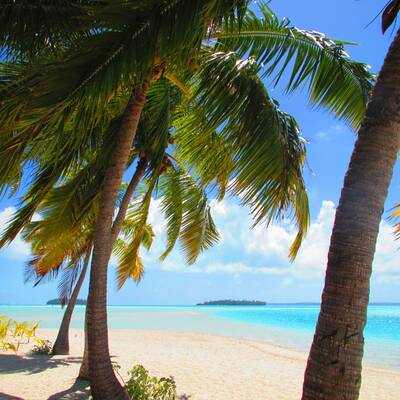 10. Cathedral Cove, Hahei, Coromandel (Neuseeland)