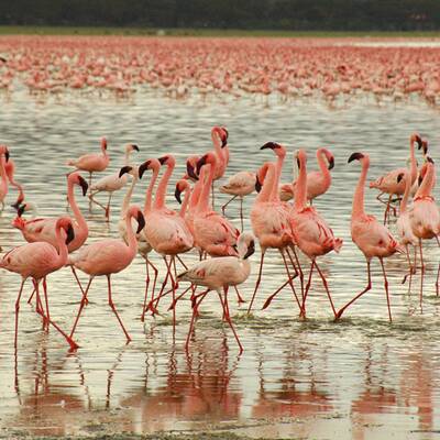 Auf dem Inka-Pfad nach Machu Picchu