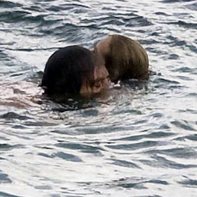 Julia Roberts planscht mit Javier Bardem