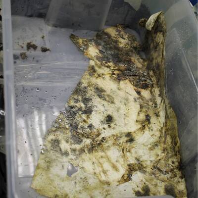 Von den Tätern fehlt noch jede Spur