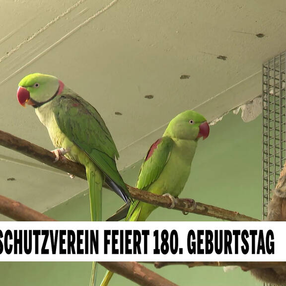 Wiener Tierschutzverein feiert 180. Geburtstag