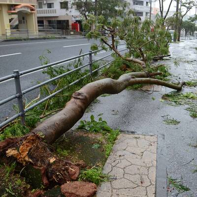 So wütet Taifun Neoguri