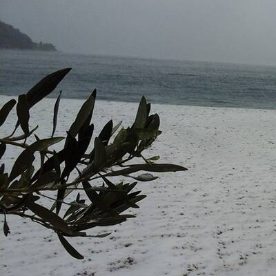 Sogar in Alexandria (Ägypten) schneite es