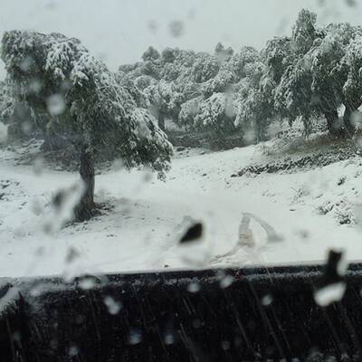 Sogar in Alexandria (Ägypten) schneite es