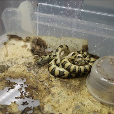 Von den Tätern fehlt noch jede Spur