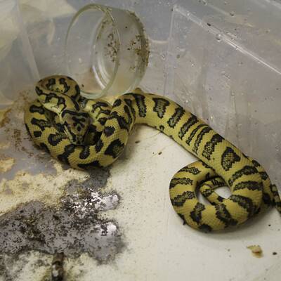 Von den Tätern fehlt noch jede Spur