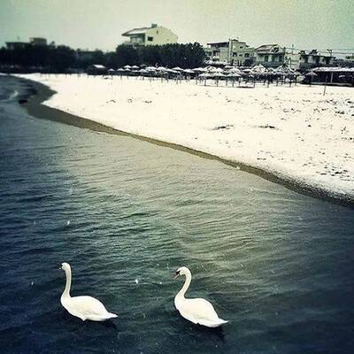 Sogar in Alexandria (Ägypten) schneite es