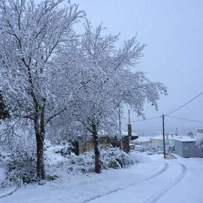 Sogar in Alexandria (Ägypten) schneite es