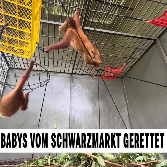 Unsere Tiere: Das große Tierschutz-Magazin