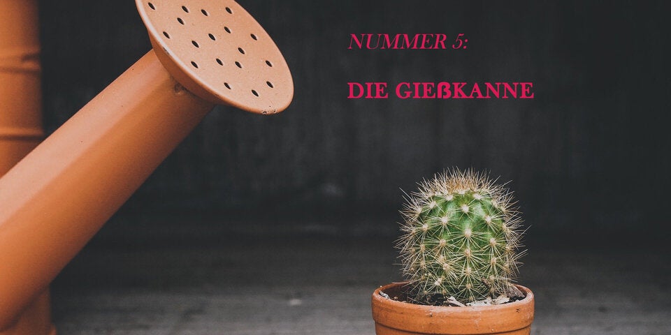 Die 5 wichtigsten Gartenwerkzeuge