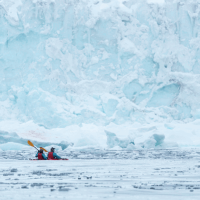 Reisende der MS Roald Amundsen auf Besuch bei den Pinguinen