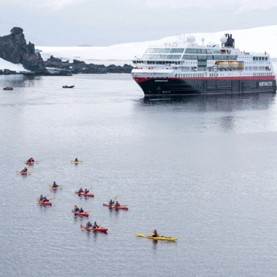 Reisende der MS Roald Amundsen auf Besuch bei den Pinguinen